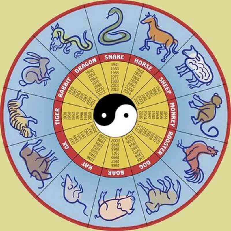 2013 was the Year of the Snake on the zodiac calendar!