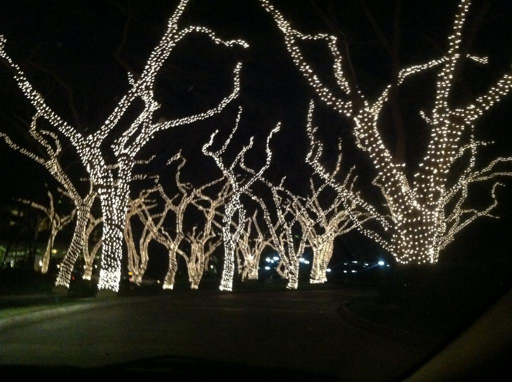 The entrance to the Grand Wailea at night. The illuminated trees look spectacular when driving up to the entrance.