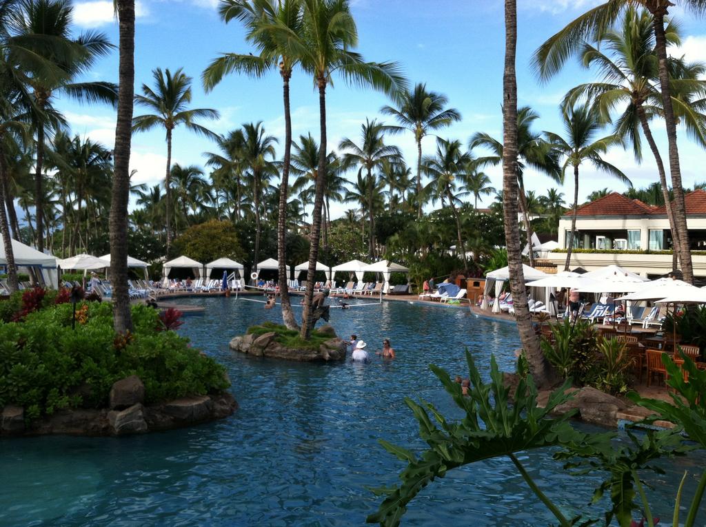 ...going to a pool with an island in the middle featuring warm water jets (like a giant jacuzzi), or returning to the water elevator!