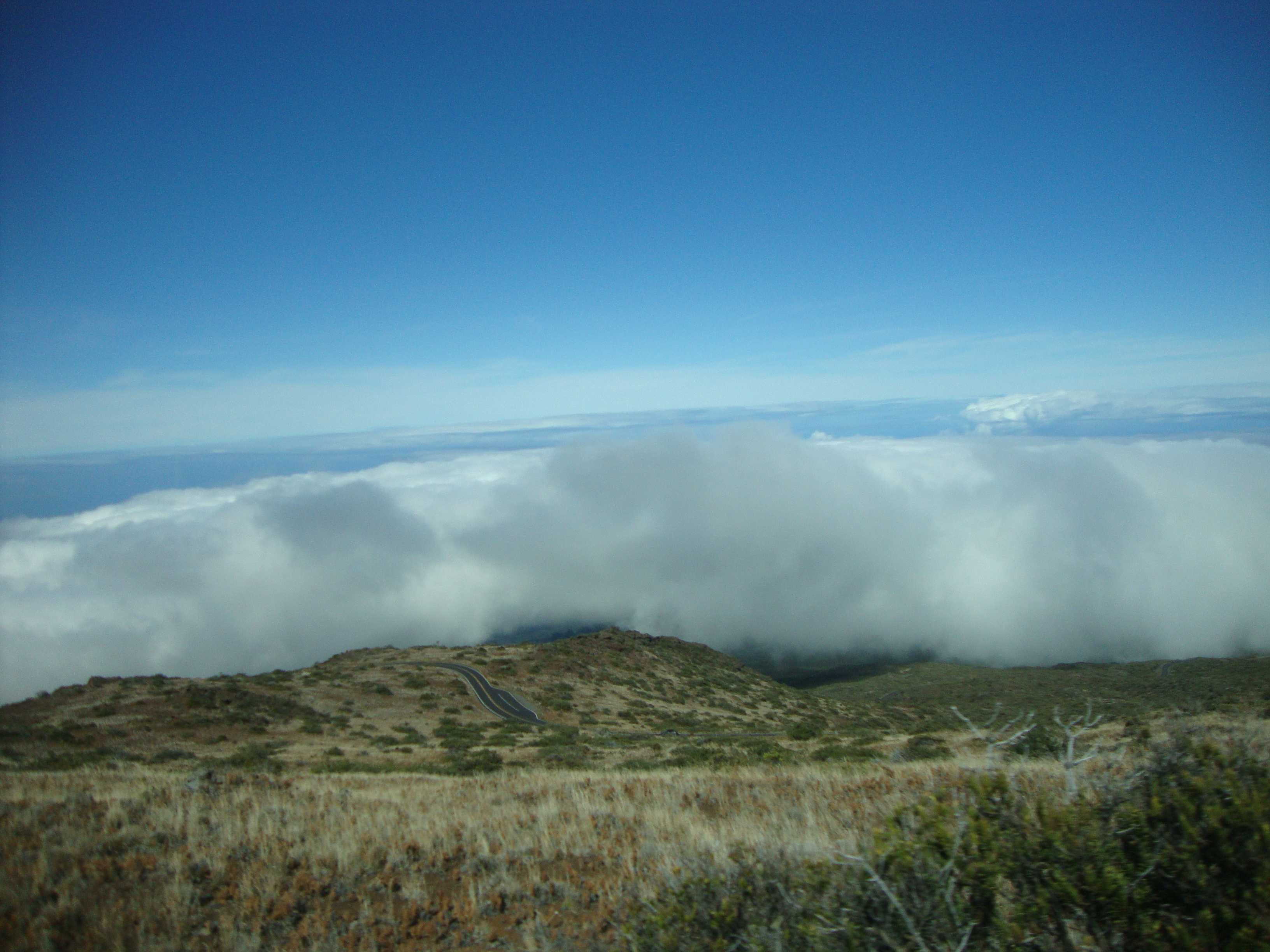 As we traveled further up the mountain, we met up with some clouds that were quickly rolling in.