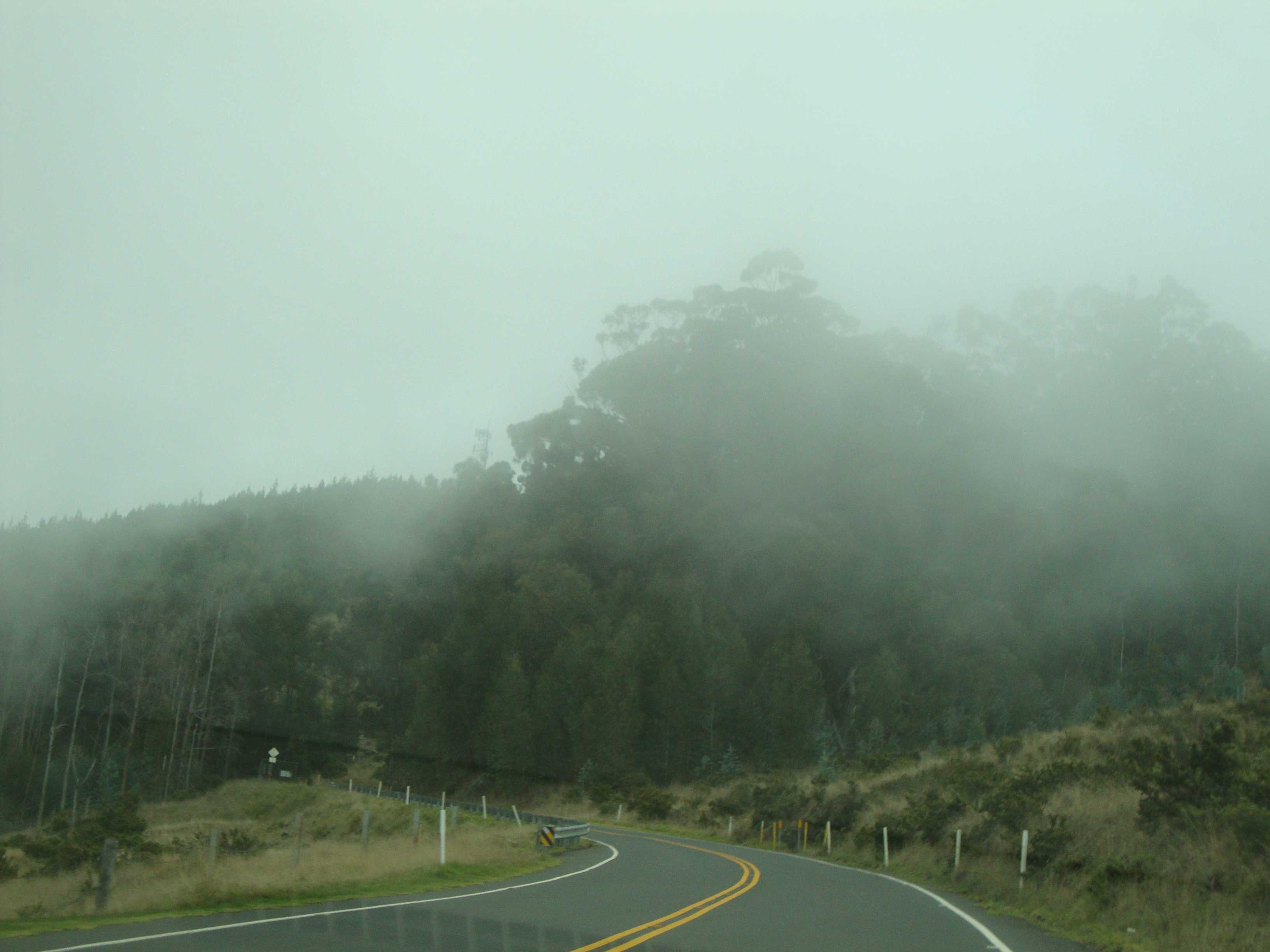 The clouds flowed over the road and became much thicker the higher up we went.