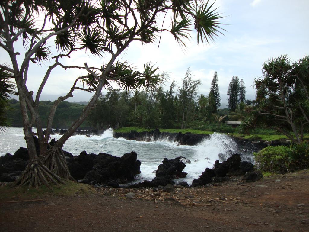 We stopped at Kaumahina State Wayside Park to do a little geocaching. While there, we purchased some incredible Macadamia nut brittle and mango nut bread.