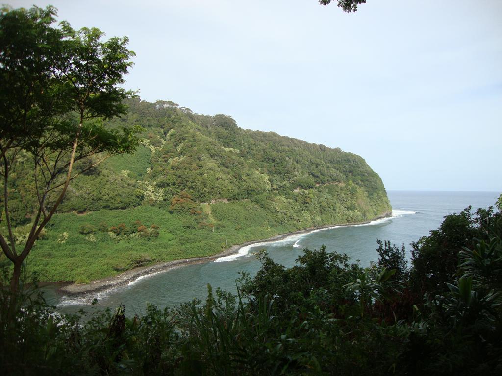 This was a beautiful view on the way to Hana. We were lucky to find this break in the trees to see the ocean below.
