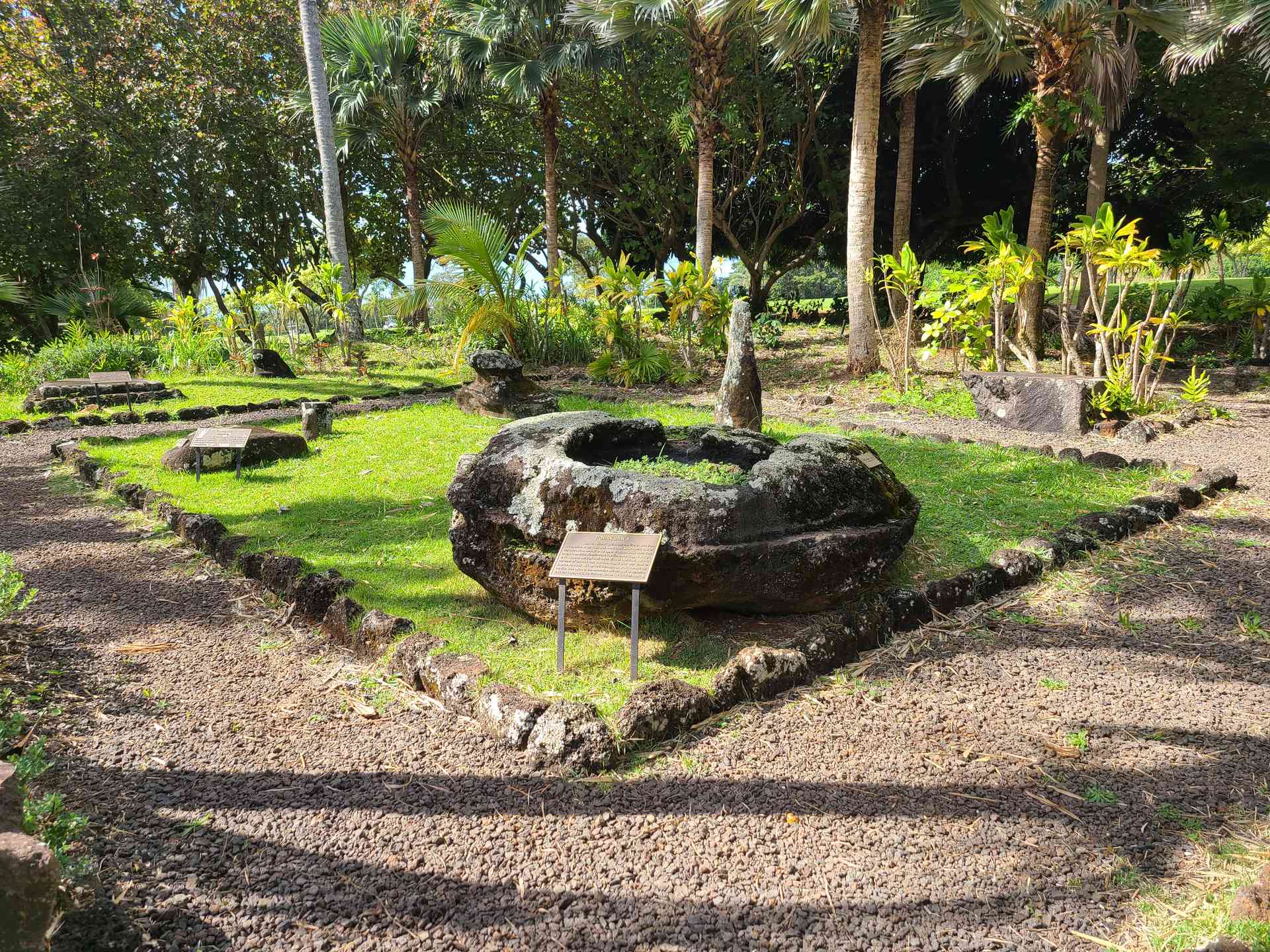 A beautiful Hawaiian rock garden.