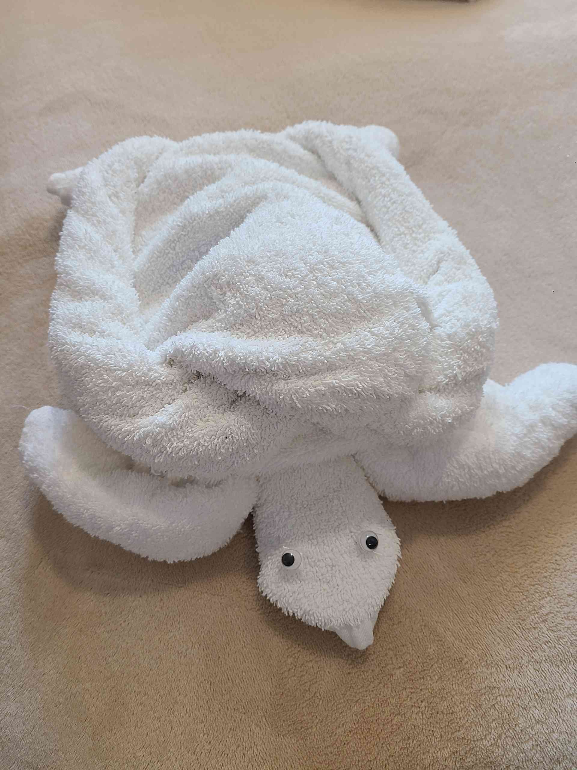 And of course, Helen's absolute favorite: a turtle!