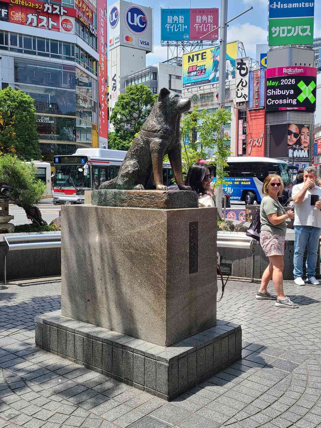 Hachiko, the profoundly loyal Japanese Akita who faithfully waited for his master every evening for years, never knowing his master had passed away at work.